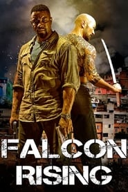 Falcon Rising' Poster