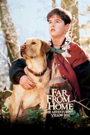 Far from Home The Adventures of Yellow Dog' Poster