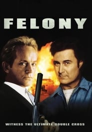 Felony' Poster