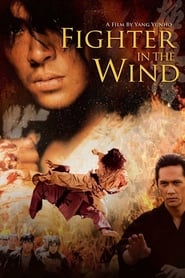 Fighter in the Wind' Poster