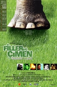 Elephants and Grass' Poster