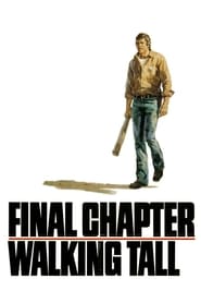 Final Chapter Walking Tall' Poster