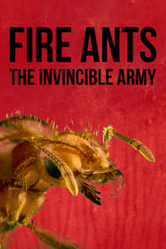 Fire Ants 3D The Invincible Army' Poster