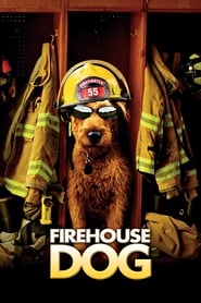 Firehouse Dog' Poster