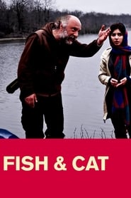 Fish  Cat' Poster