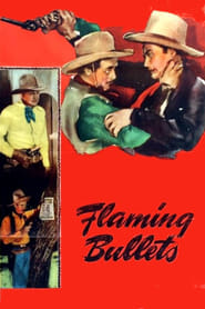 Flaming Bullets' Poster