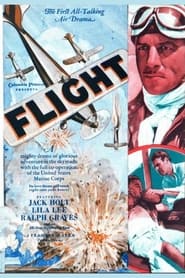 Flight' Poster