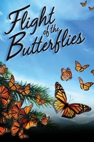 Streaming sources forFlight of the Butterflies