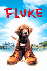 Fluke' Poster