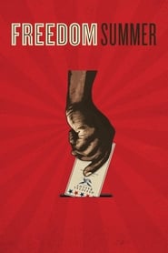 Freedom Summer' Poster