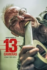 13 Cameras' Poster