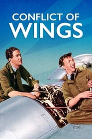 Conflict of Wings' Poster