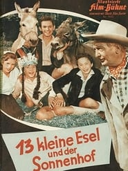 13 Little Donkeys and the Sun Court' Poster