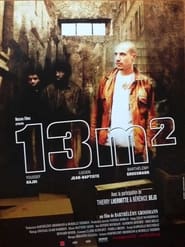 13 m' Poster