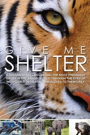 Give Me Shelter' Poster