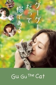 Gu Gu the Cat' Poster