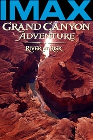 Grand Canyon Adventure River at Risk' Poster