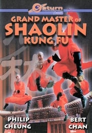 Grand Master Of Kung Fu' Poster