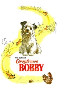 Greyfriars Bobby The True Story of a Dog' Poster