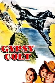 Gypsy Colt' Poster