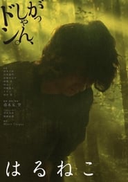 Haruneko' Poster
