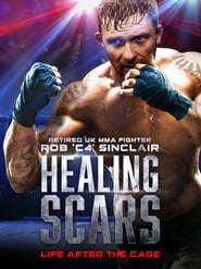 Healing Scars' Poster