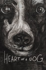 Heart of a Dog' Poster
