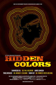 Hidden Colors' Poster