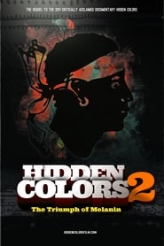 Hidden Colors 2 The Triumph of Melanin' Poster