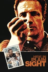 Hide in Plain Sight' Poster