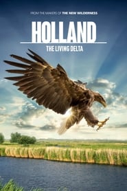 Holland The Living Delta' Poster
