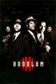 Hoodlum' Poster