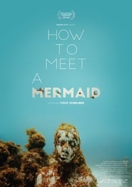 How to Meet a Mermaid' Poster
