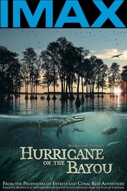 Hurricane on the Bayou' Poster