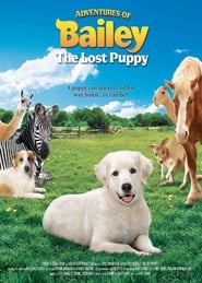 Adventures of Bailey The Lost Puppy' Poster
