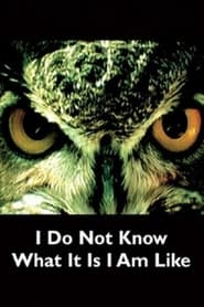 I Do Not Know What It Is I Am Like' Poster