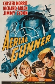 Aerial Gunner' Poster