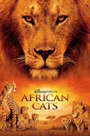 African Cats' Poster