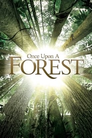 Once Upon a Forest' Poster