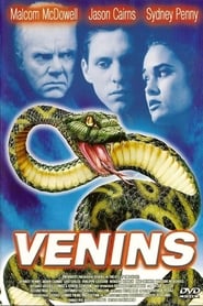 Venins' Poster