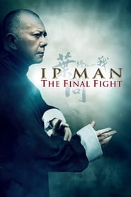 Streaming sources forIp Man The Final Fight