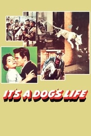 Its a Dogs Life' Poster