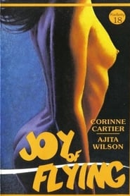 Joy of Flying' Poster