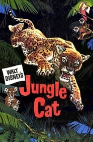 Jungle Cat' Poster