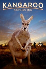 Kangaroo A LoveHate Story' Poster
