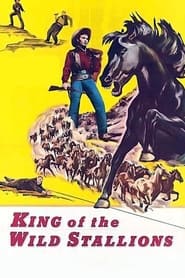 King of the Wild Stallions' Poster