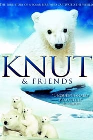 Knut  Friends' Poster