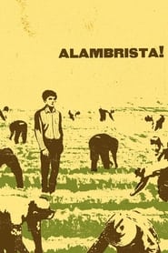 Alambrista' Poster