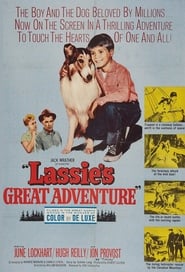 Lassies Great Adventure' Poster