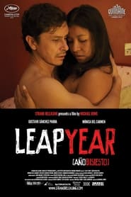 Leap Year' Poster